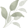 Leaves Logo